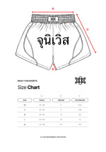 MUAY THAI SILK SHORTS