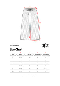 PLEAT PANTS